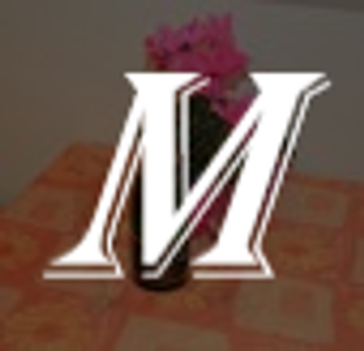 Tomáš Ježek - ubytování Turnov logo