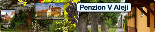 Penzion v Aleji logo
