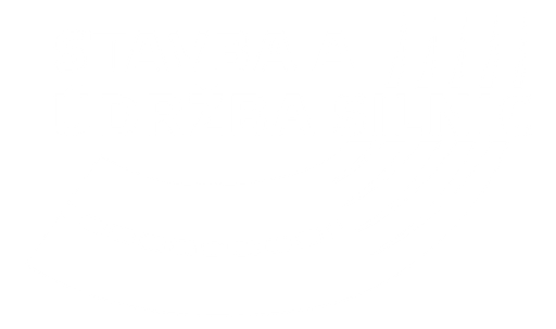 Stavba a údržba silnic, s.r.o. logo