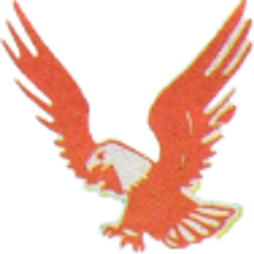 Jiří Sokol logo