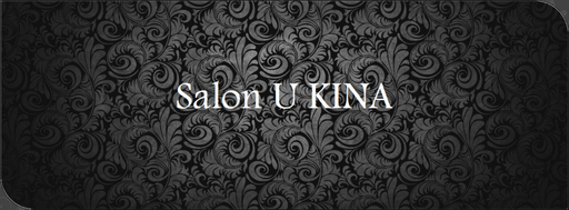 Salon U Kina logo