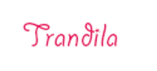 Trandila - Úklidové služby logo