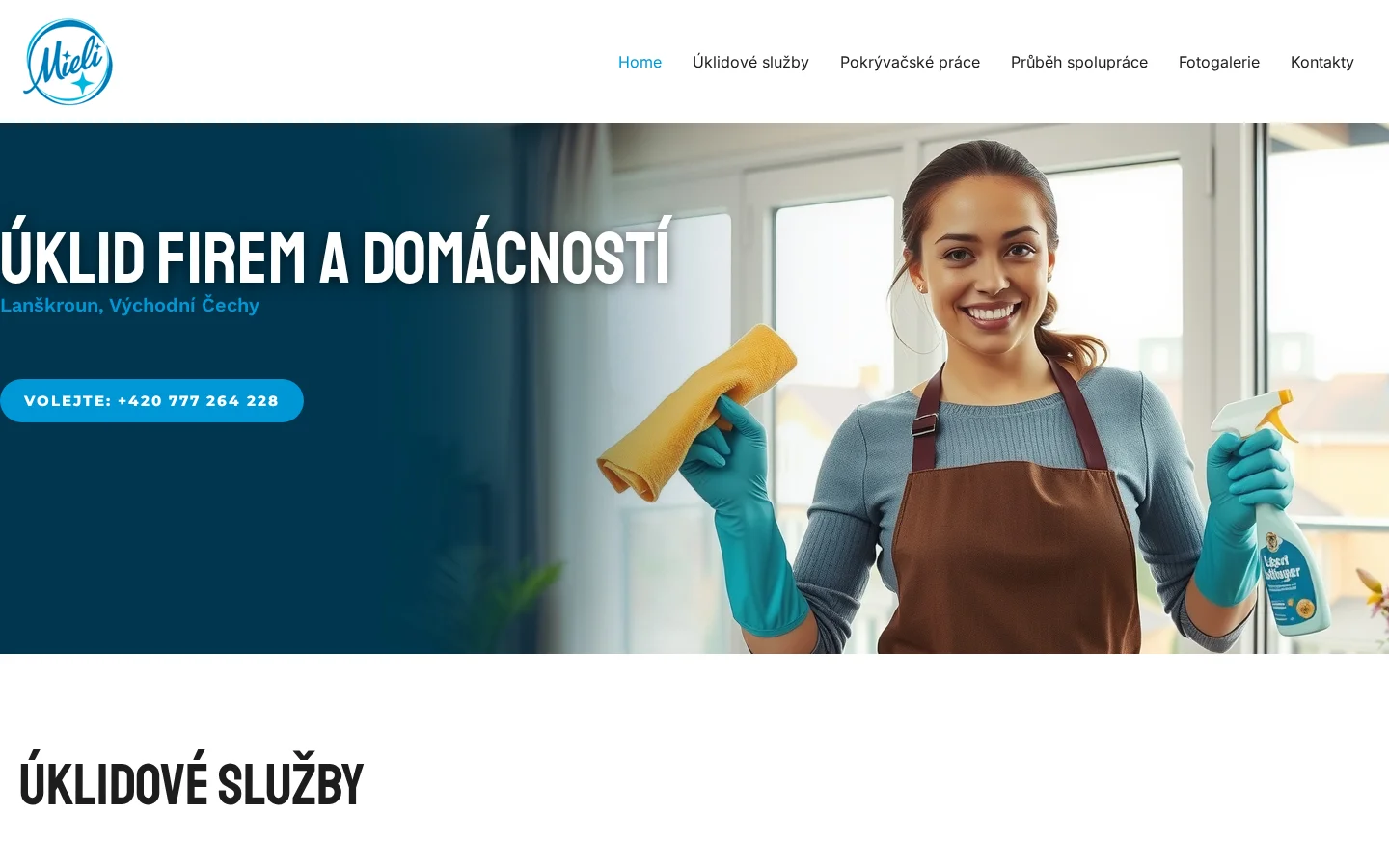 Miriam Svojanovská website