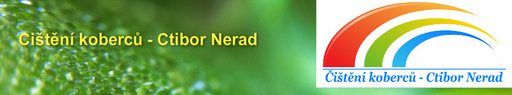 Čištění koberců - Ctibor Nerad logo