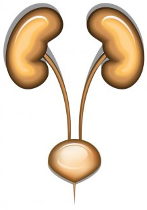 MUDr. Daniel Macík - UROKUT s.r.o. logo