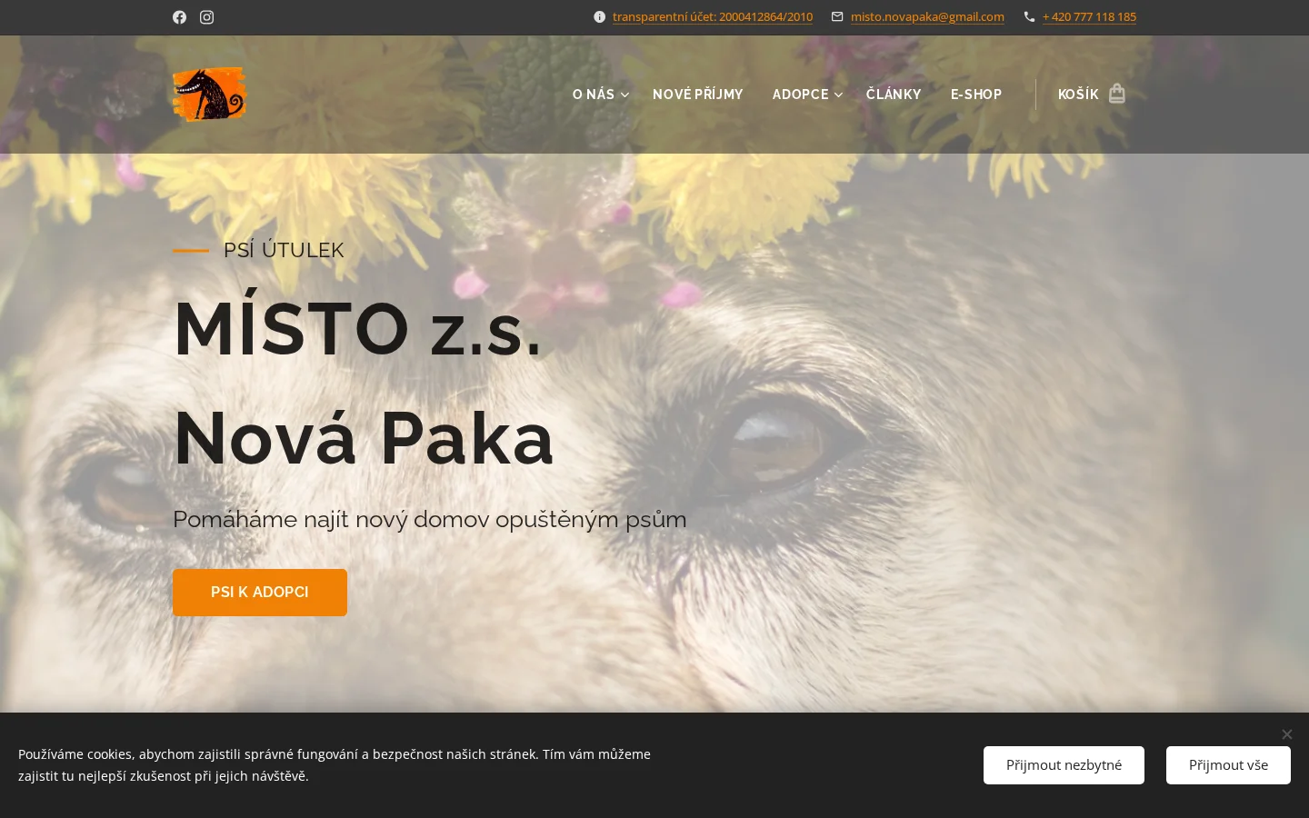 MÍSTO Nová Paka website