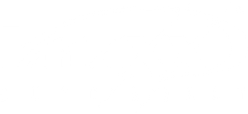 V-maxx.cz logo