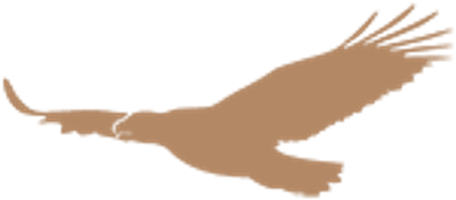 Václav Augustin logo