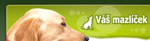 Vasmazlicek.cz logo