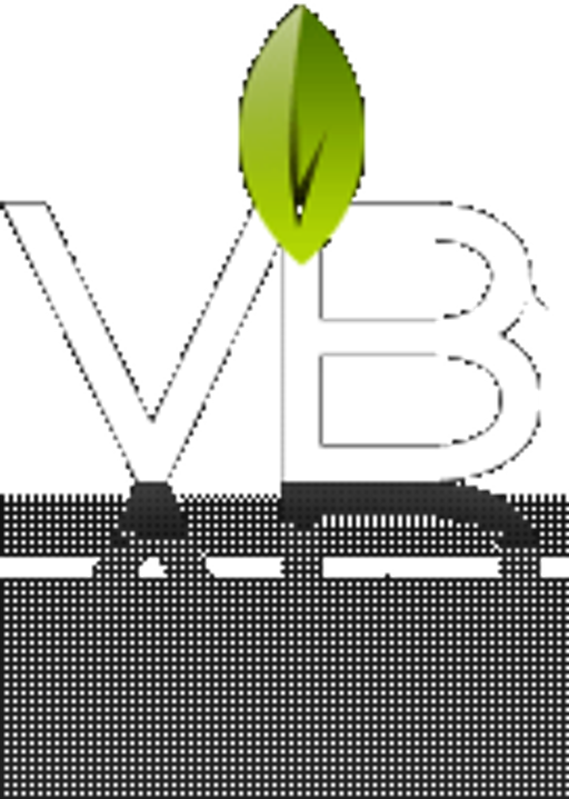 VB-Consulting logo