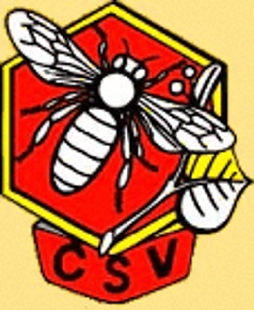 Český svaz včelařů, z.s., základní organizace Hlinsko logo