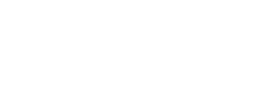 Prostějovský Večerník logo