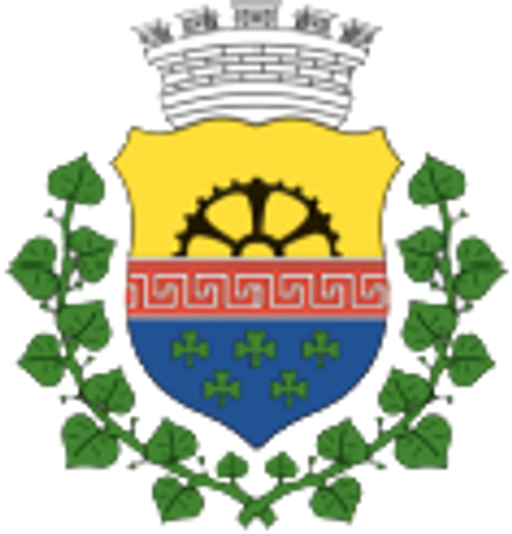 Velký Šenov - městský úřad logo