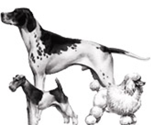 Veterina Blažek logo