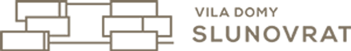 ČEVS, a.s. logo
