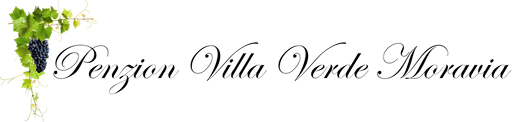 Penzion Villa Verde Moravia logo