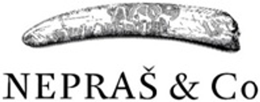 Vinařství NEPRAŠ & Co logo