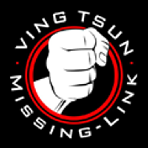 Ving Tsun Kung Fu pro děti logo