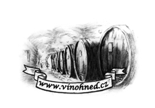 Vínohned.cz logo