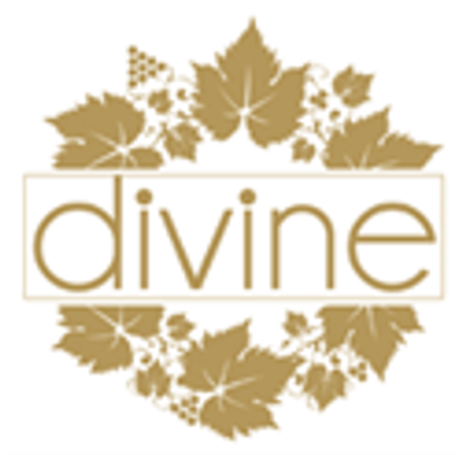 Vinotéka Divine logo