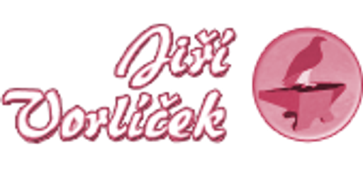 Zámečnictví a kovářství Vorlíček logo