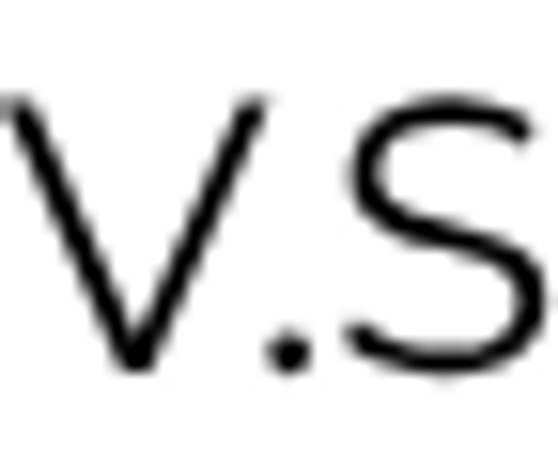 VISAGE STUDIO logo