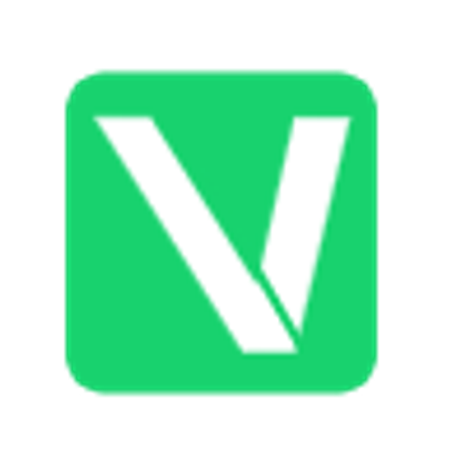 Vivid Holding logo