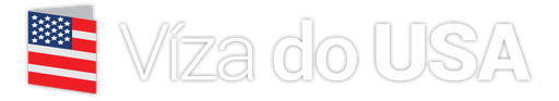 Viza USA logo