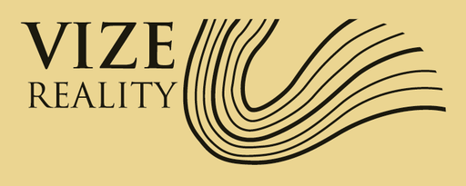 Vizereality logo