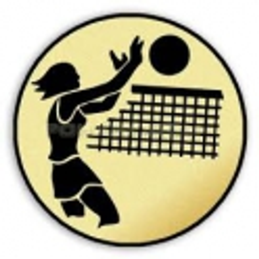 VK Austin Vsetín logo