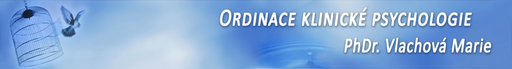 VLAM plus, s.r.o. logo