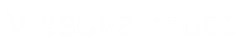Barbora Ševčíková logo