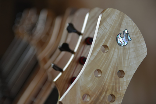 Vlček basses logo