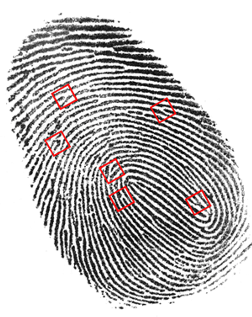 Detektivní agentura VM logo