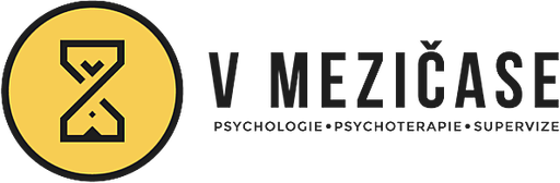 V MEZIČASE logo