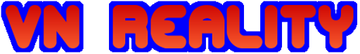 Nováková Věra - VN Reality logo
