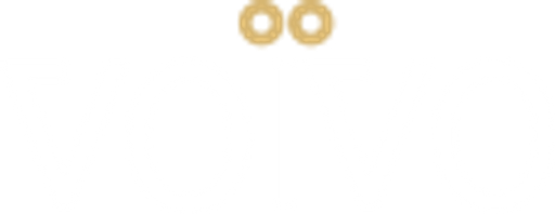 VOÏVO logo
