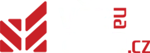 VseNaAuto.cz logo