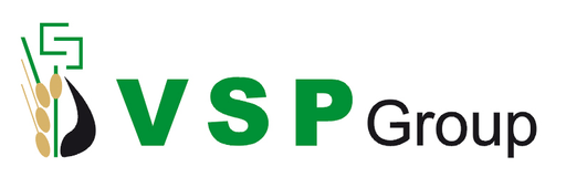 VSP Group logo