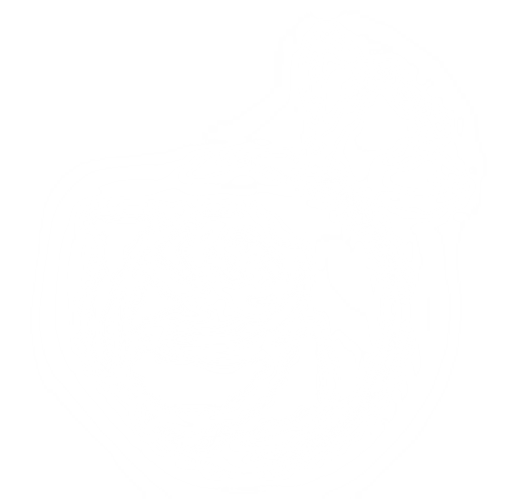 Salon White Rose logo