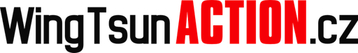 Akademie bojových umění Wing Tsun a Escrima logo