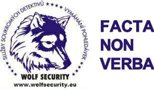 WOLF SECURITY logo