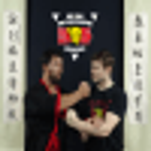 Škola Wing Tsun (Wing Chun) Kung Fu logo