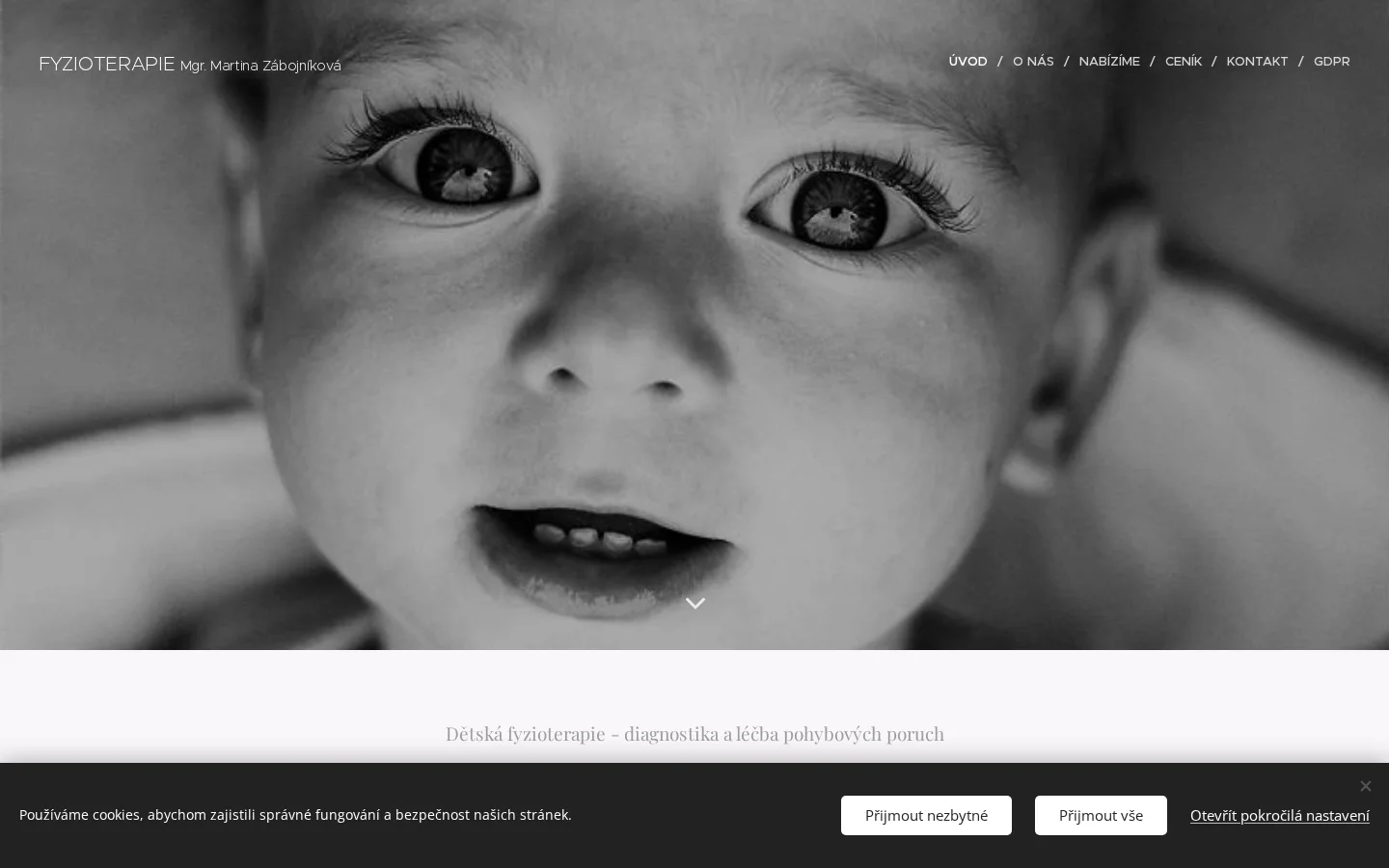 Fyzioterapie website