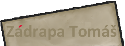 Mgr. Tomáš Zádrapa - IT poradenství logo