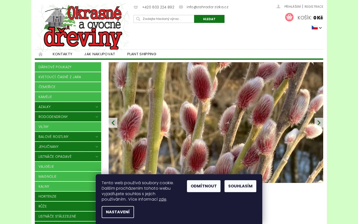 Okrasné dřeviny - Ing. Milan Žižka website