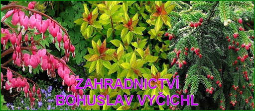 Zahradnictví Bohuslav Vyčichl logo