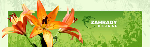ZAHRADY HEJNAL logo