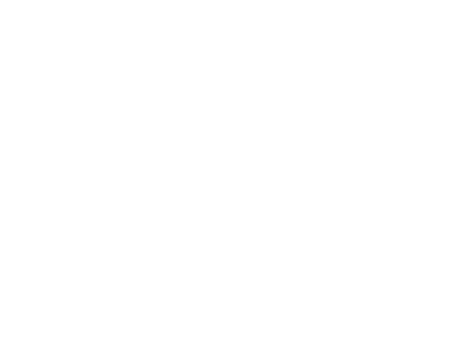 Manfred Schöner - Hotel Zámek Kamenný Dvůr logo