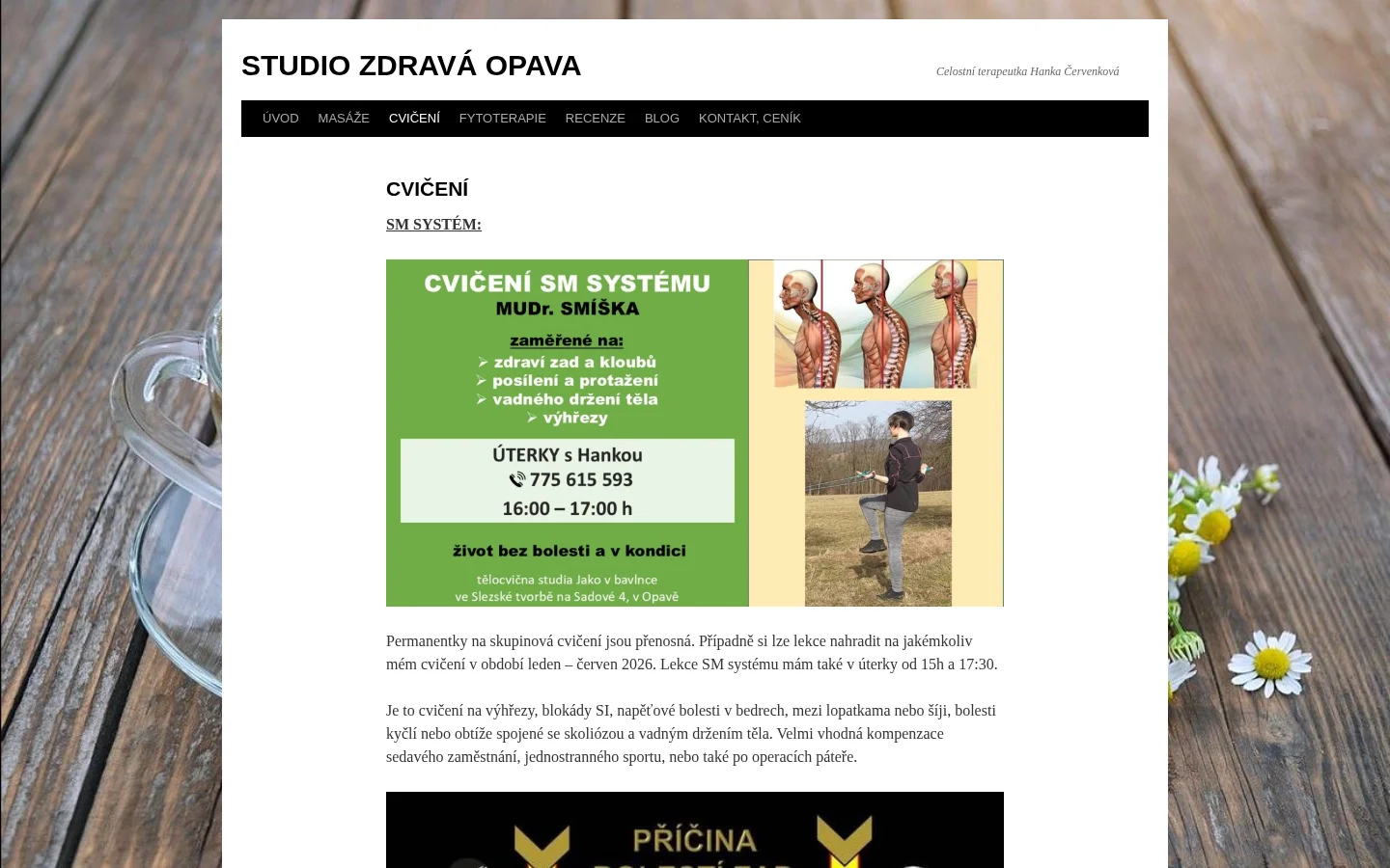 Studio Zdravá Opava website